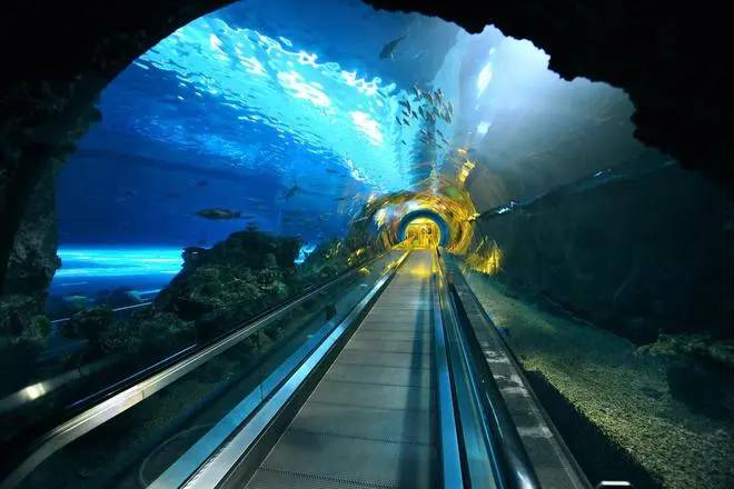 世界最長の海底トンネル建設プロジェクトが開始