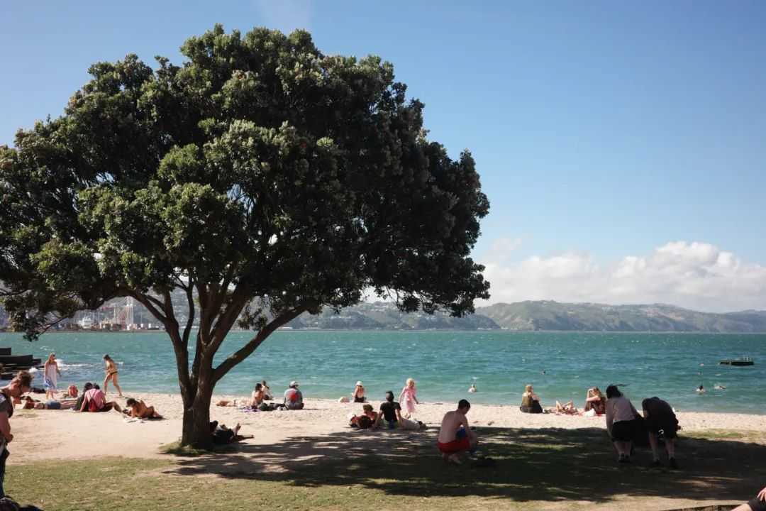 キューバ、ウェリントンの休息の旅