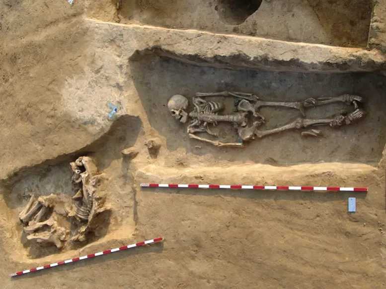 古代DNAが先史時代の家系図と社会構造を解明